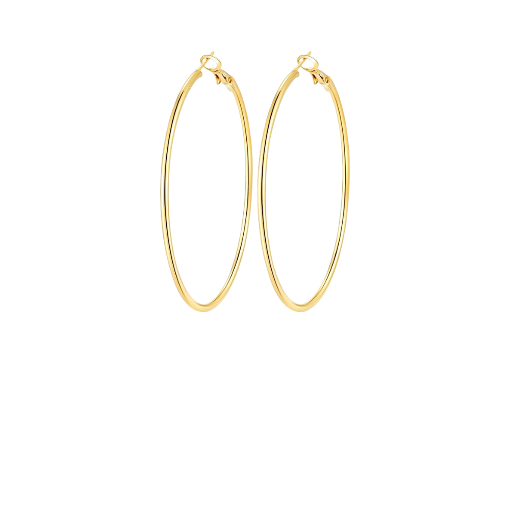 BBDC Company Performance Hoops (REQUIRED)