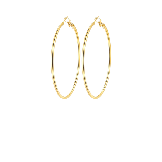 BBDC Company Performance Hoops (REQUIRED)
